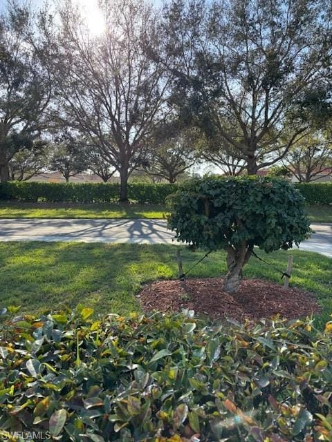 7918 Haven Dr. 2 – #225018535 - Blue Heron