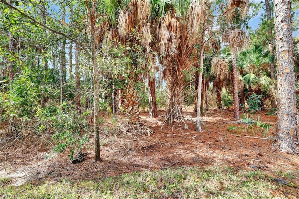 8206 Sanctuary Dr. 1 – #226005172 - Blue Heron