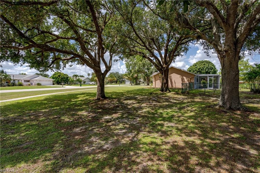 3121 Orange Grove Trl. – #226017859 - Orange Tree