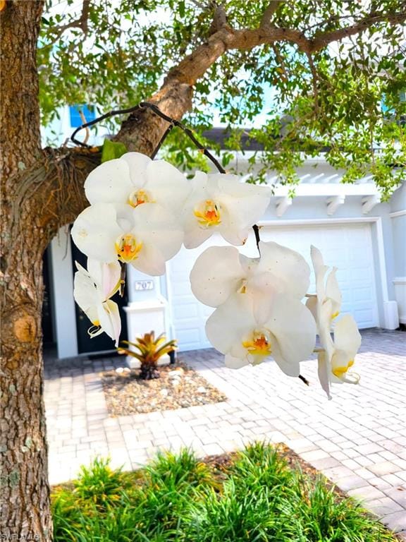 6954 Avalon Cir. 703 – #226025722 - Avalon